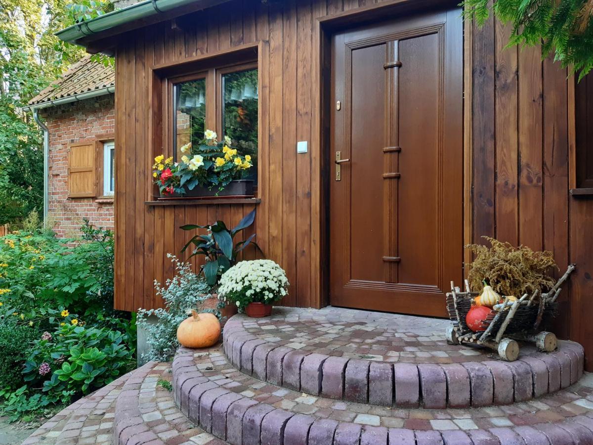 Villa Dziki Brzeg Jezioraka à Zalewo  Extérieur photo