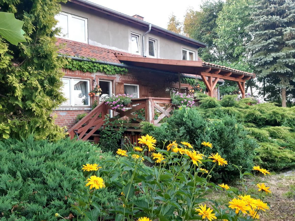 Villa Dziki Brzeg Jezioraka à Zalewo  Extérieur photo