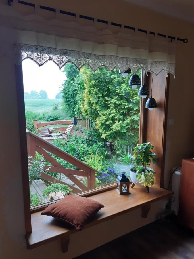 Villa Dziki Brzeg Jezioraka à Zalewo  Extérieur photo