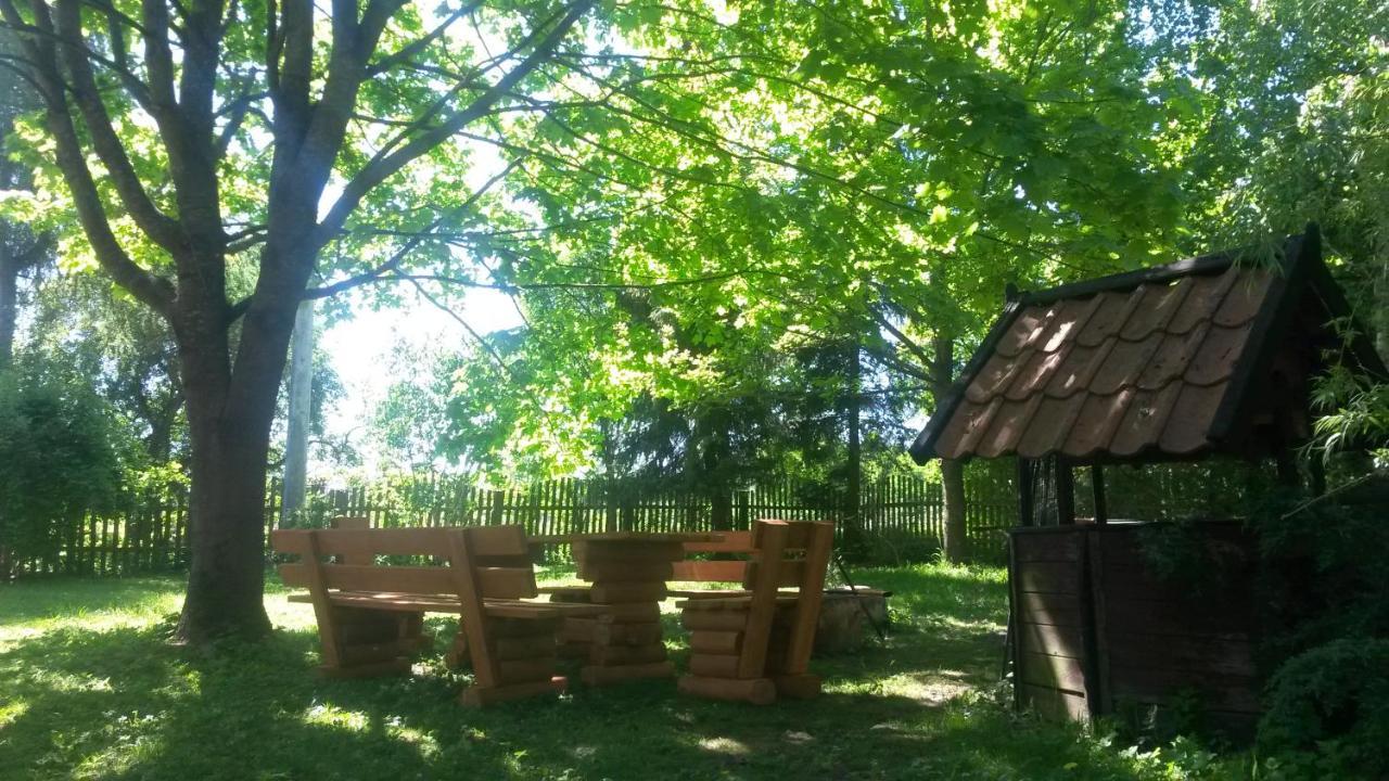Villa Dziki Brzeg Jezioraka à Zalewo  Extérieur photo